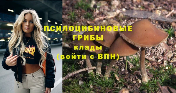 гидропоника Балахна