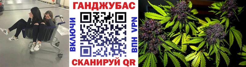 как найти наркотики  Беломорск  Каннабис SATIVA & INDICA 